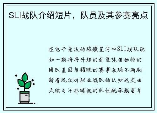 SLI战队介绍短片，队员及其参赛亮点