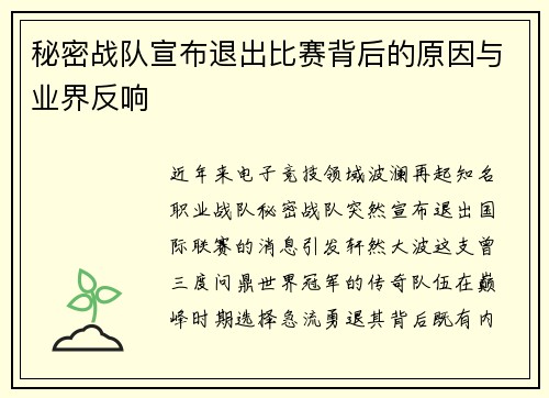 秘密战队宣布退出比赛背后的原因与业界反响